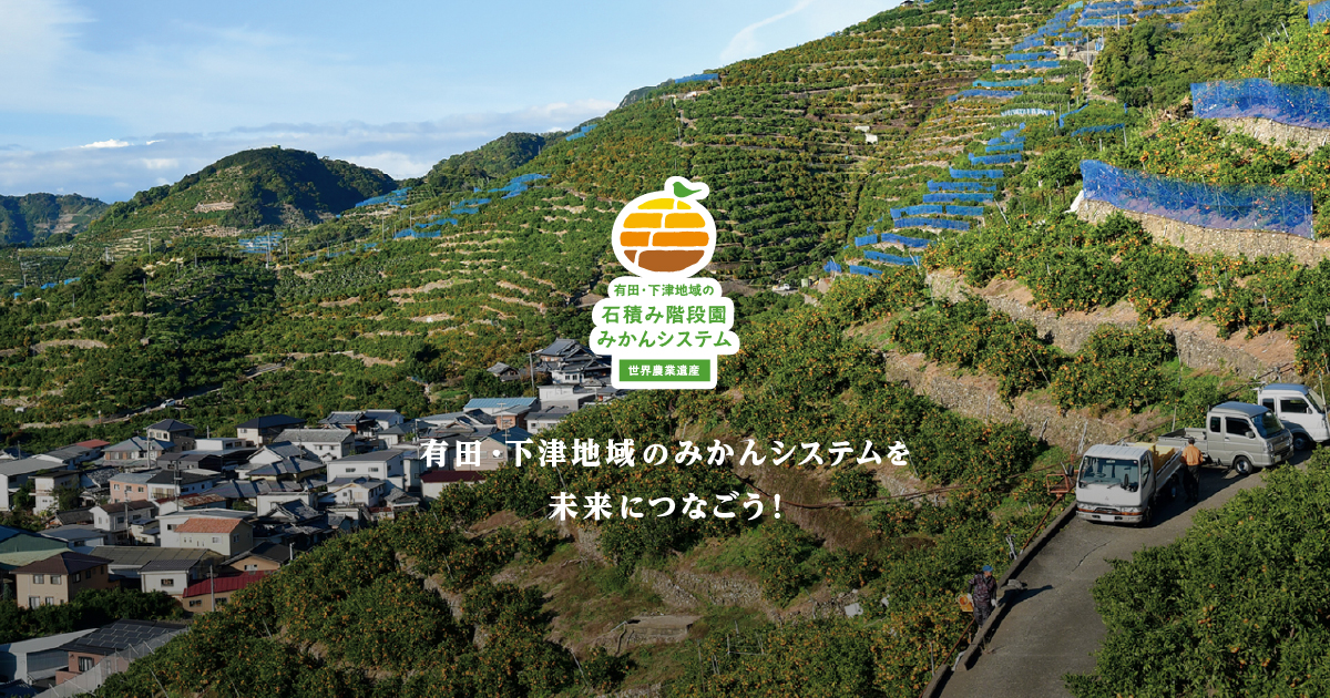 ブリテン資本主義下のアイルランド農業 ブリテン資本主義下のアイルランド農業』本多三郎著 - 田舎の本屋さん
