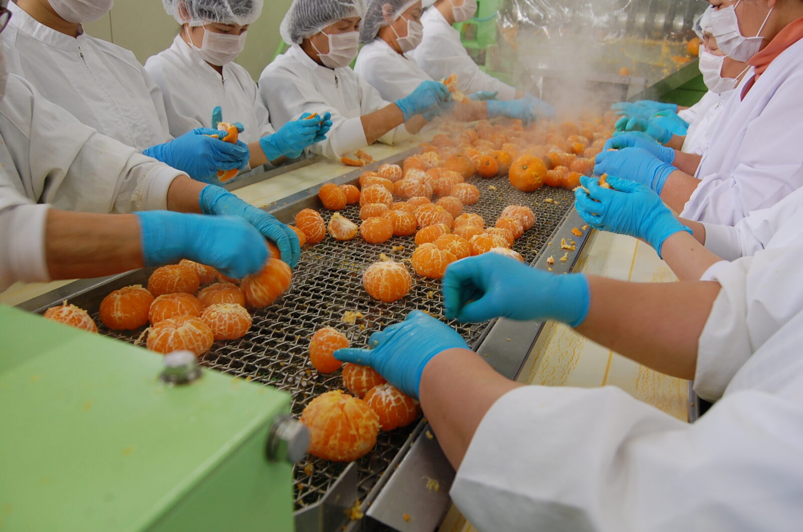 みかんの皮剥き