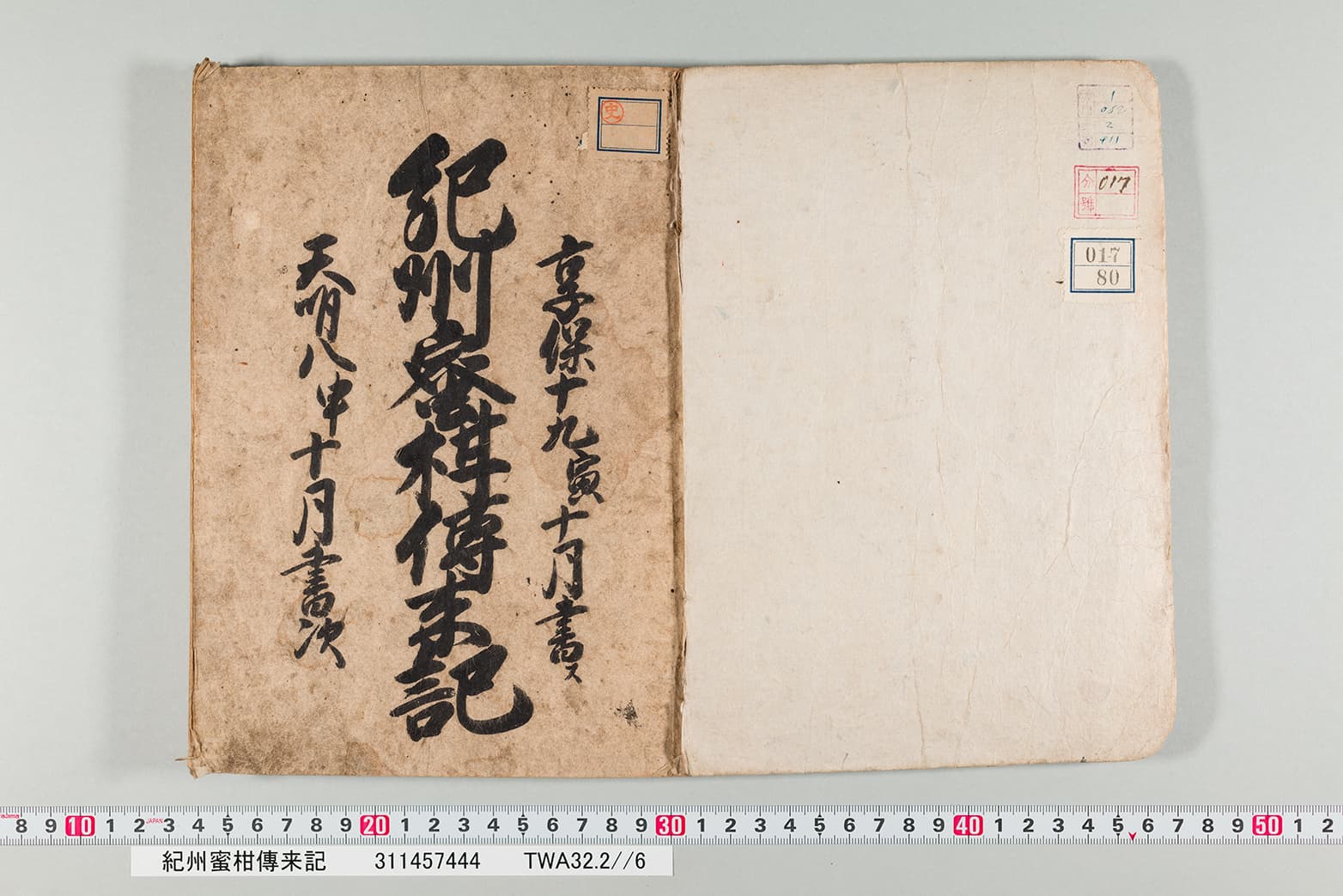 紀州蜜柑伝来紀