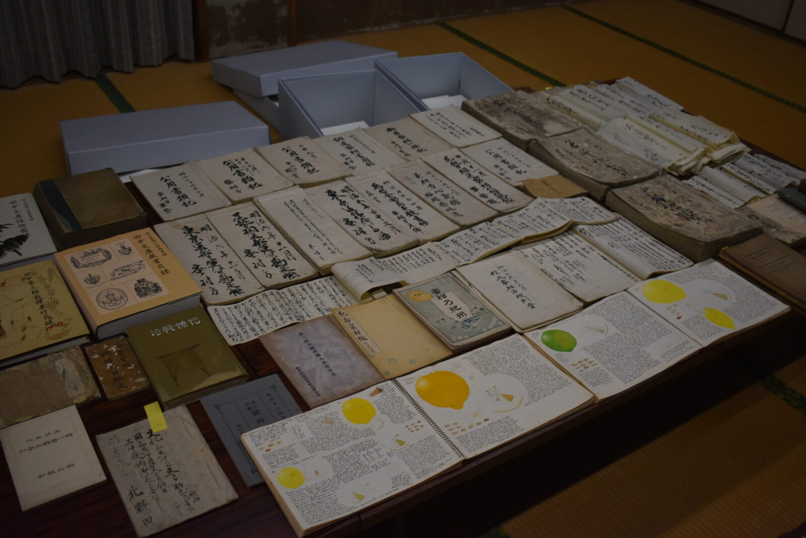 橘本神社に保存されている貴重な資料