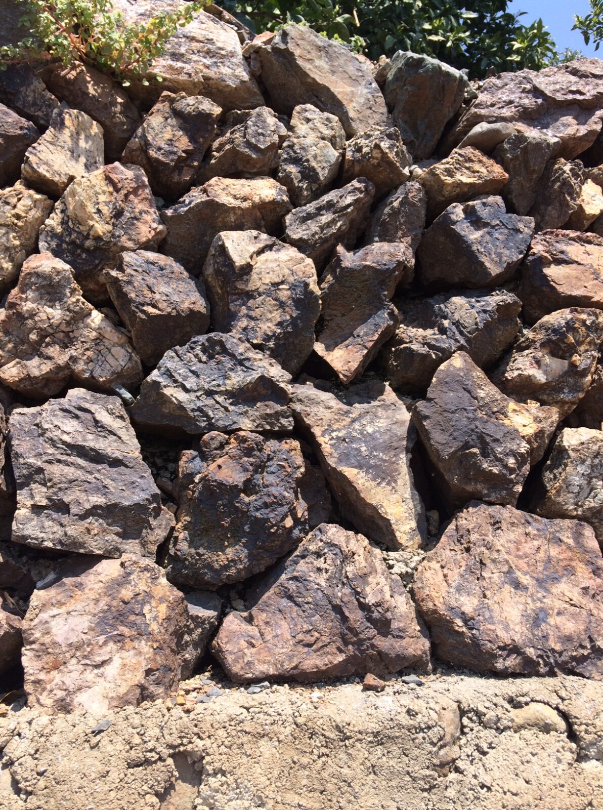 赤石（古生層岩）