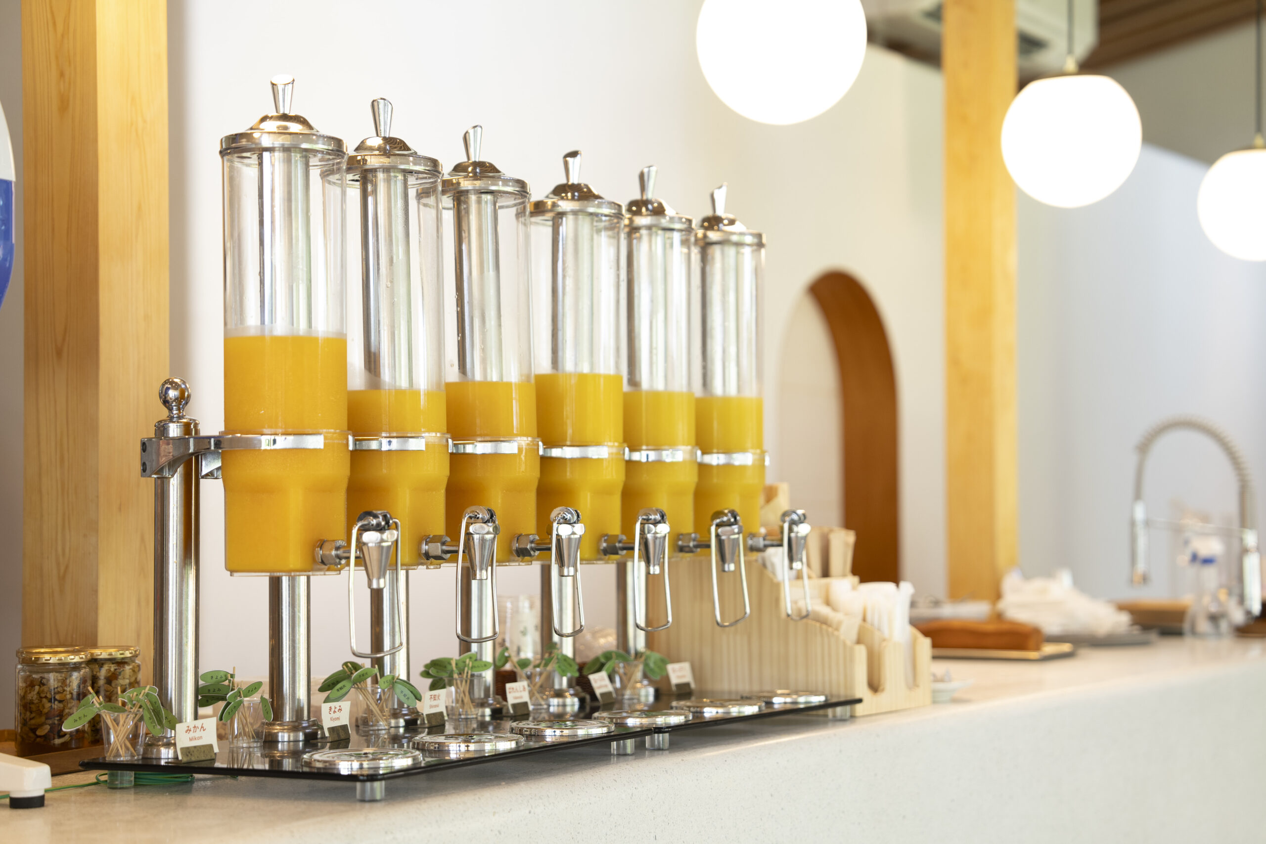 カフェみかんの木