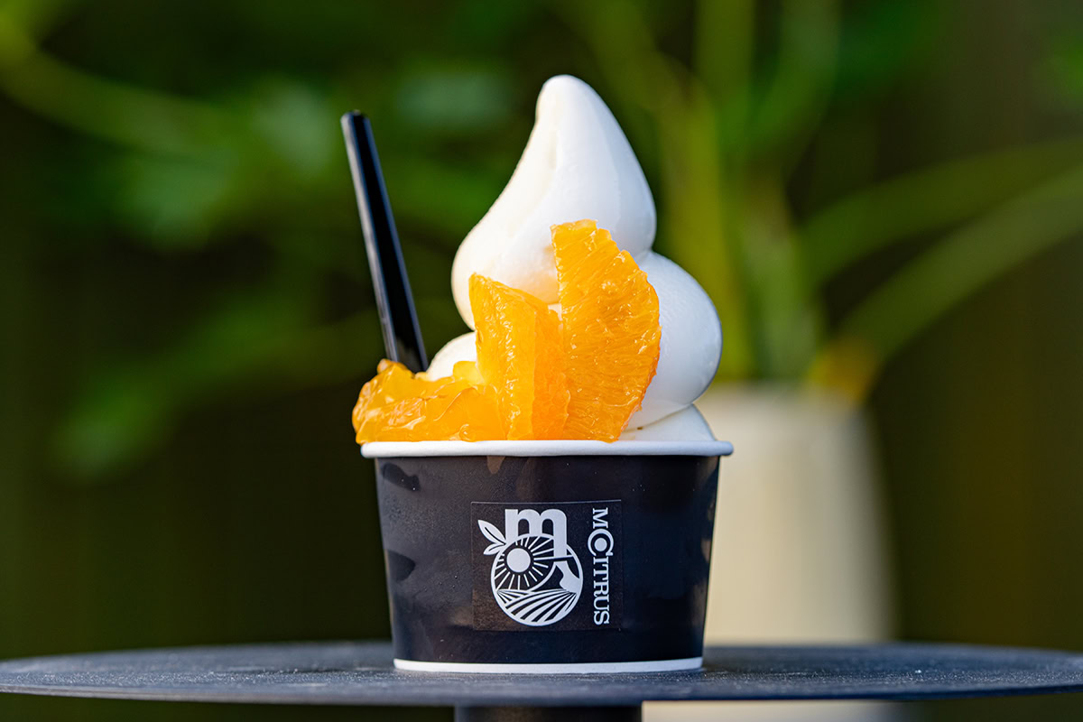Mcitrus／エムシトラス　フルーツパーラー